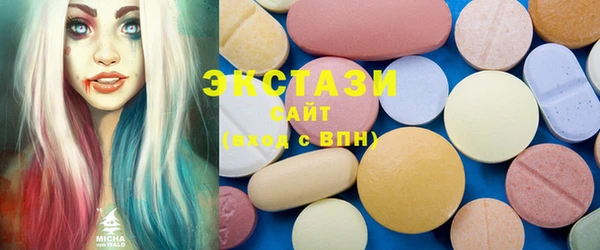 ECSTASY Бородино